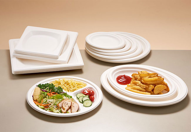 Eco descartável de ir para contêineres: o futuro do serviço de alimentação sustentável