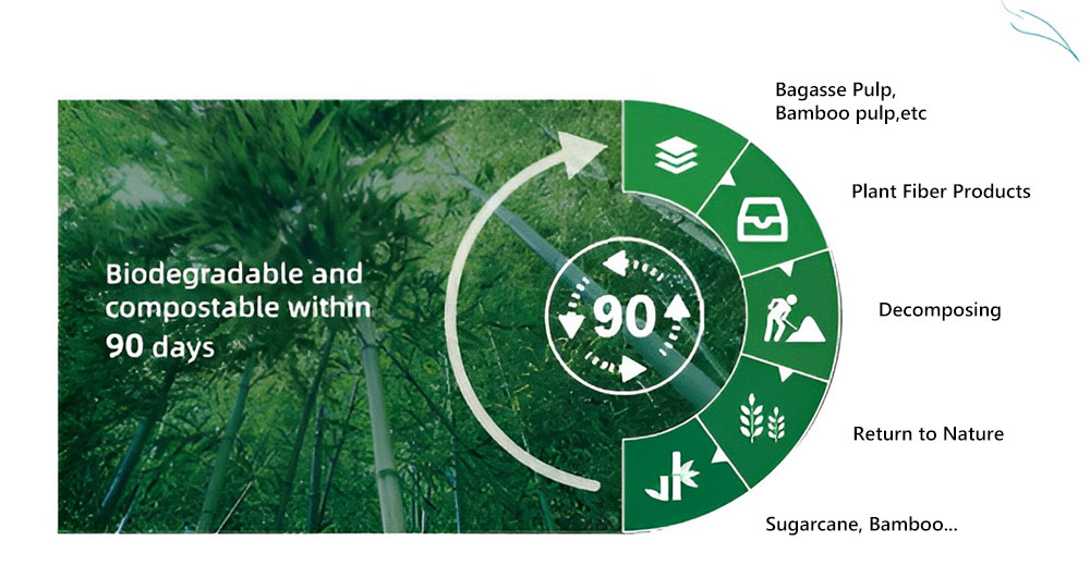 Eco Disposable To Go Containers: The Future of Sustainable Food Service