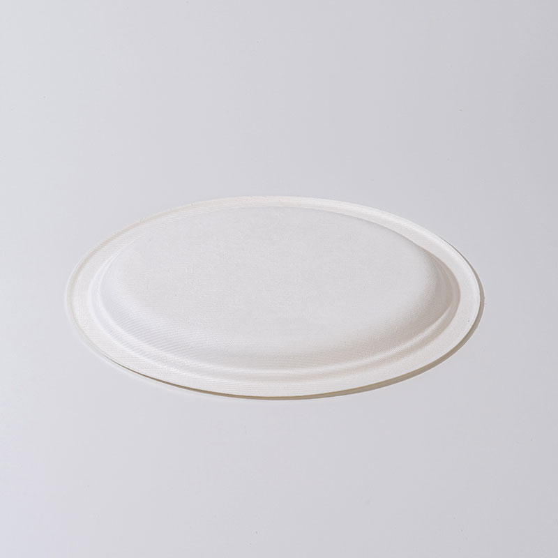 Placa oval de polpa da cana -de -açúcar